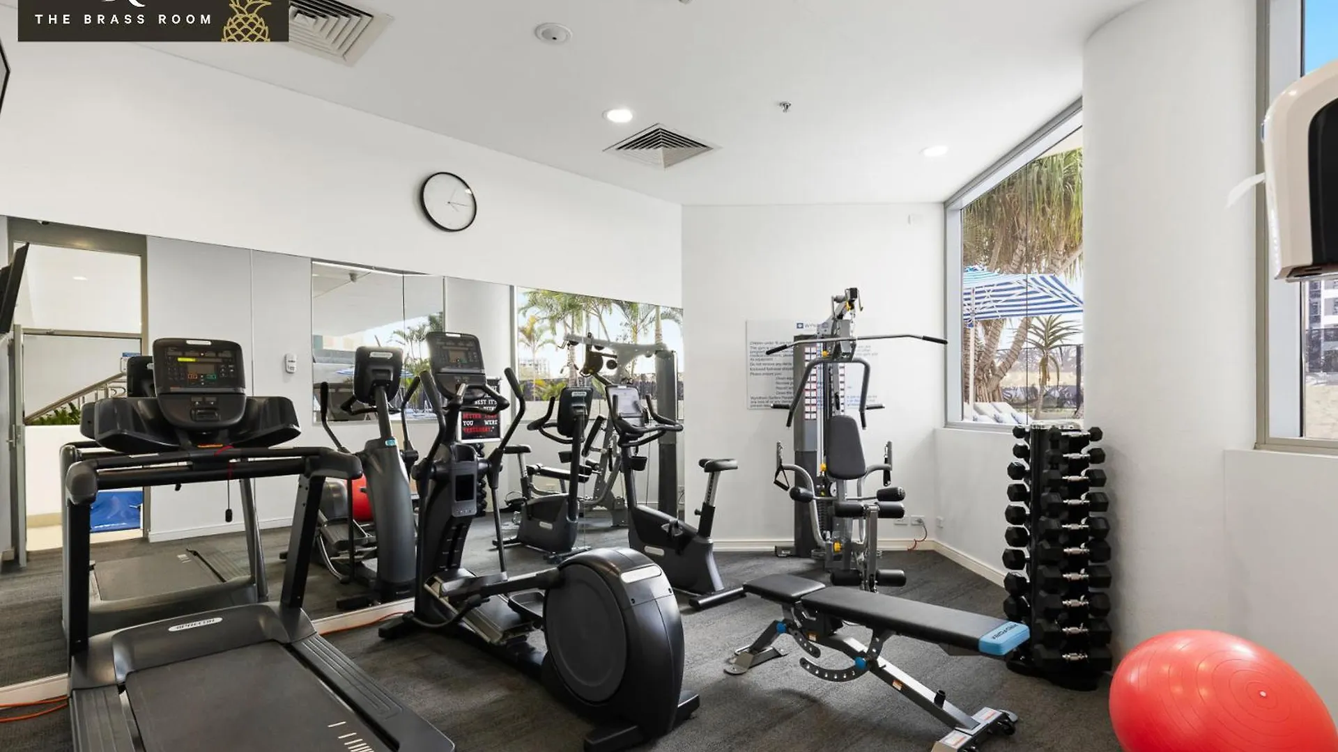 The Brass Pineapple Surfers Paradise 4217 Gold Coast